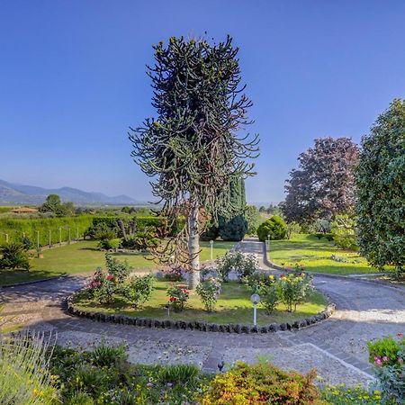 Villa Luce-Casa Vacanza Con Vista Panoramica Mare. Velletri Eksteriør billede