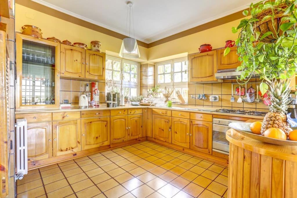 Villa Luce-Casa Vacanza Con Vista Panoramica Mare. Velletri Eksteriør billede